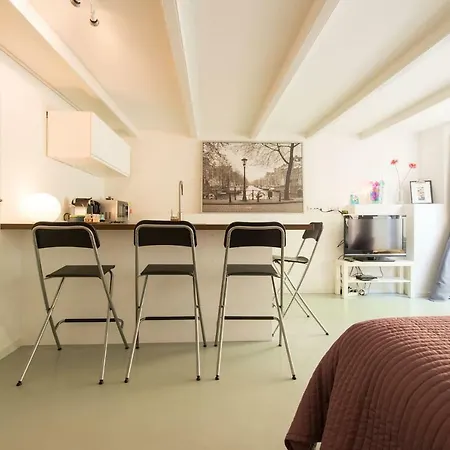 Quiet For 4 At Park In Center Apartment Amsterdam
